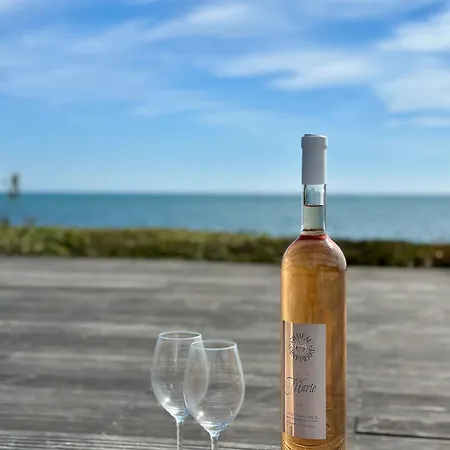 Duplex Bord De St Aygulf Lejlighed Fréjus